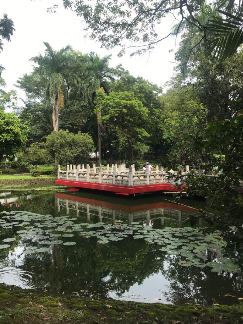 walking near me in Rizal Park in winter