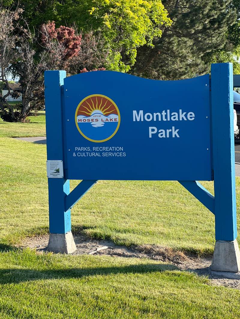 walking near me in Montlake Park in summer