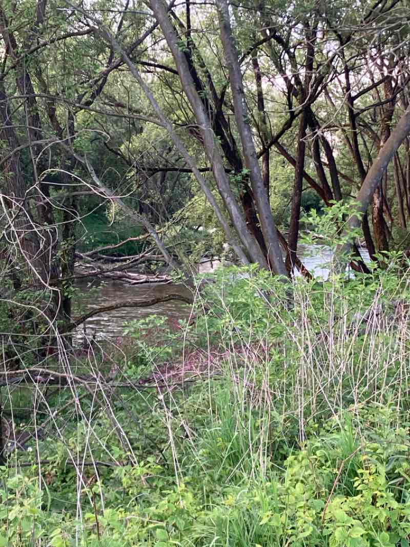 walking near me in Park imienia Obrońców Helu in winter