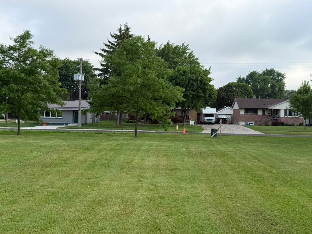walking near me in Coronation Park in summer