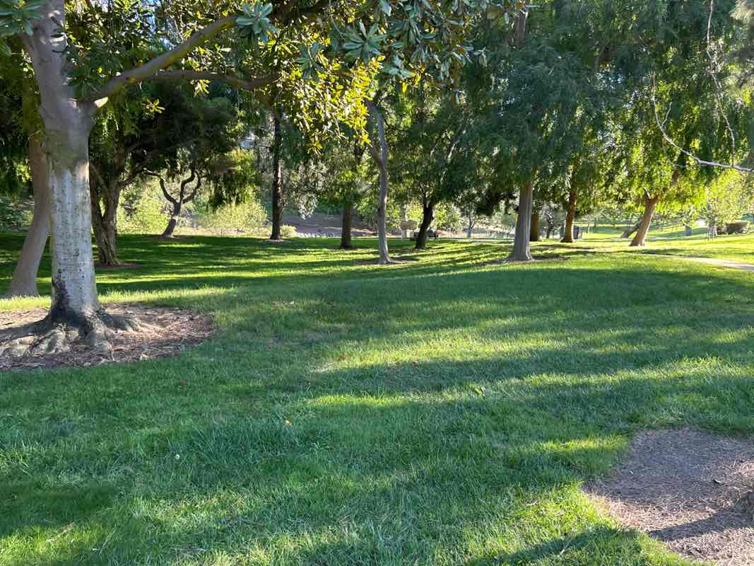walking near me in Aliso Creek Park and Wildlife Sanctuary in spring