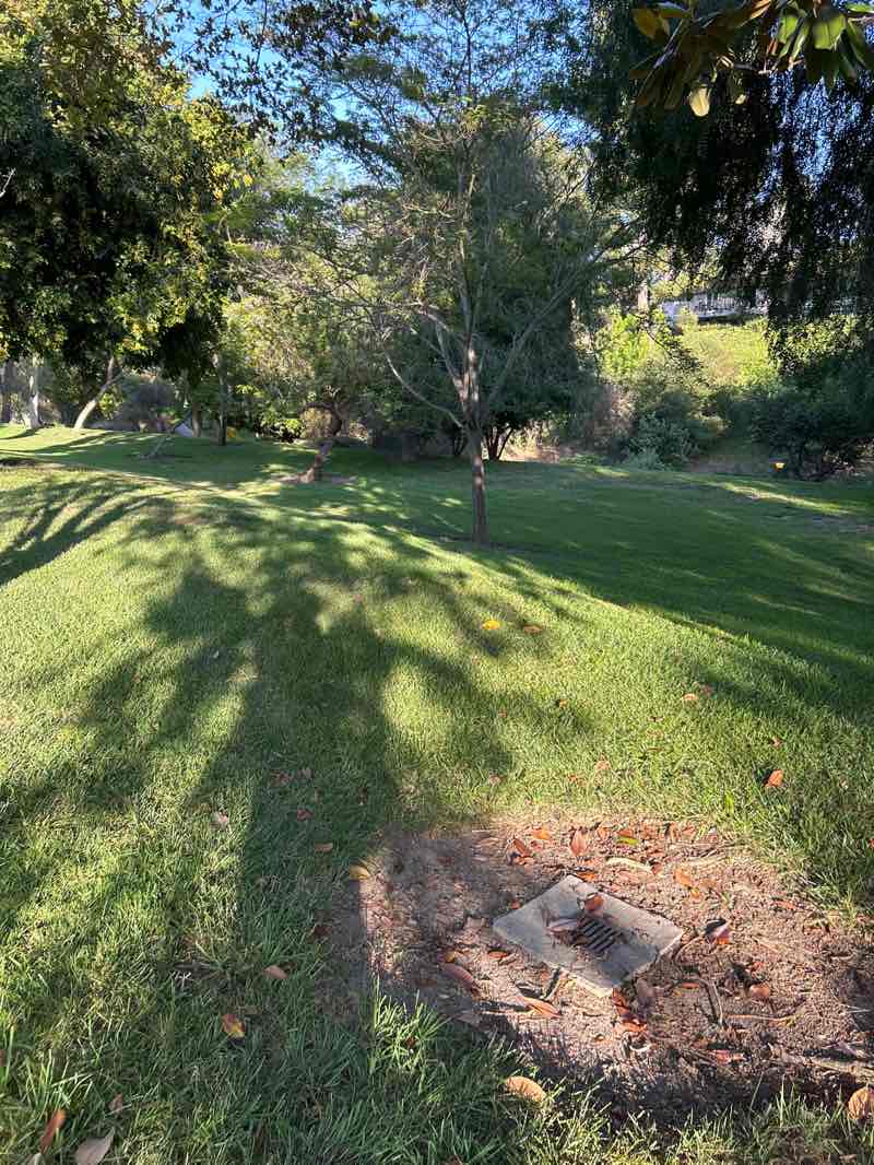walking near me in Aliso Creek Park and Wildlife Sanctuary in spring