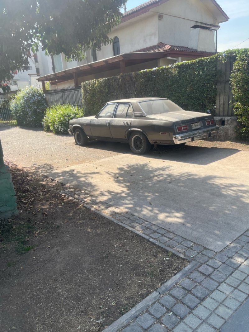 walking near me in Plaza Ossandón in autumn