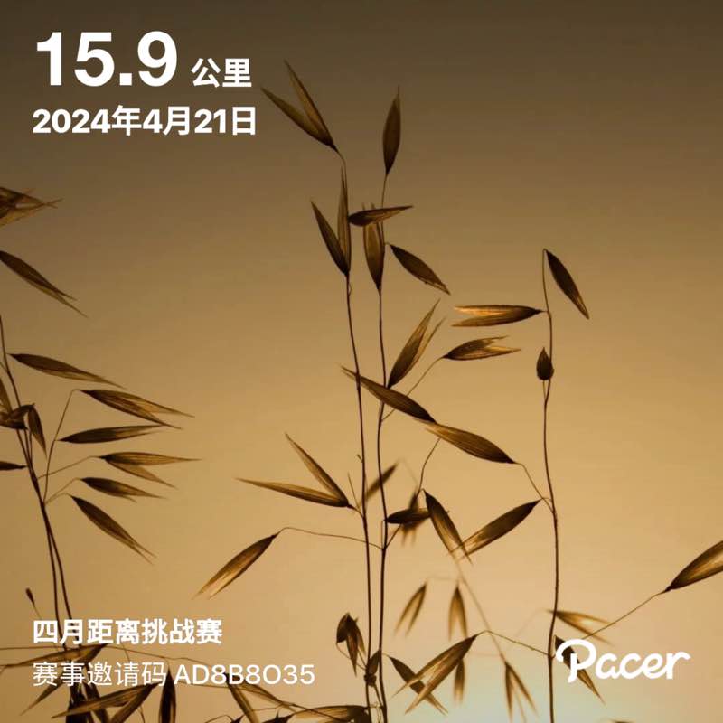 長流琴殇 post 1