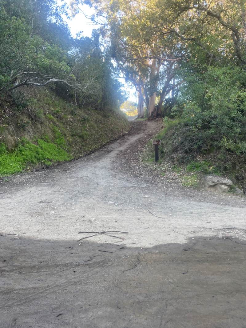 walking near me in St. Joseph's Hill Open Space Preserve in winter