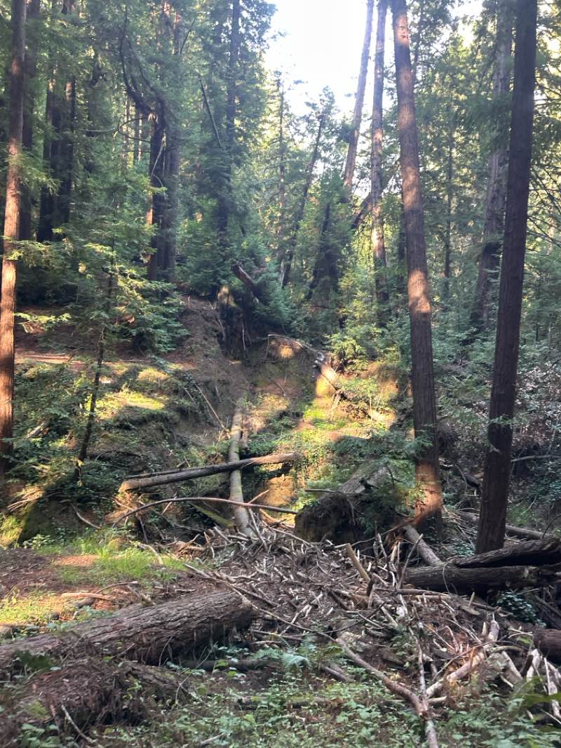 walking near me in Thornewood Open Space Preserve in winter