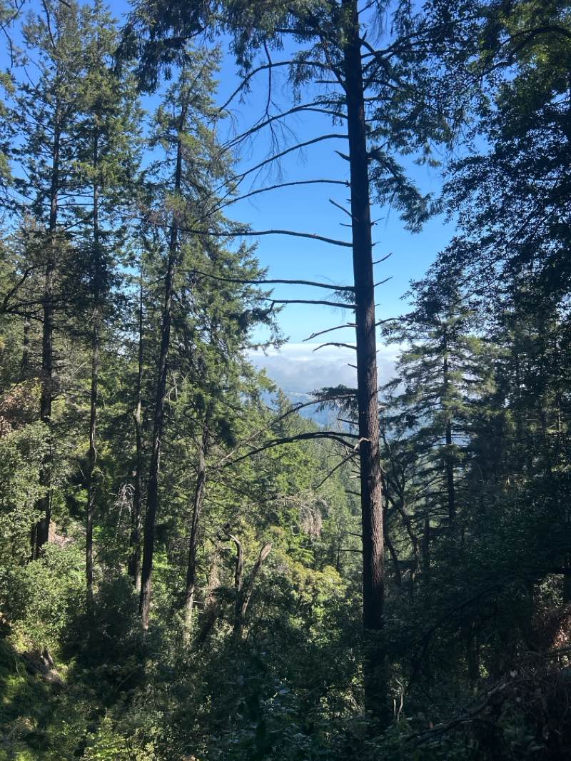 walking near me in Sanborn County Park in spring