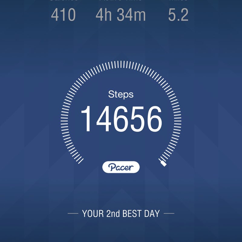 ⭐️🐈~Chloe~🐈⭐️ post 1