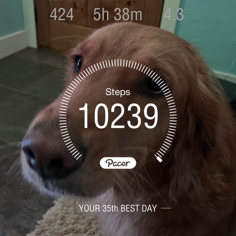 ⭐️🐈~Chloe~🐈⭐️ post 1