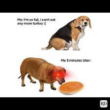 ⭐️🐈~Chloe~🐈⭐️ post 2