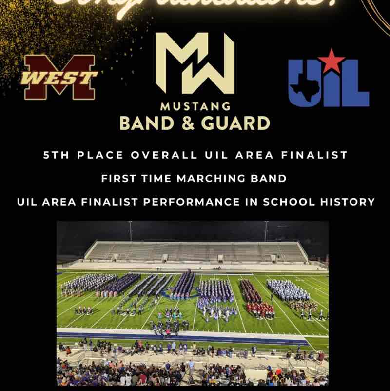 ⭐️🐈~Chloe~🐈⭐️ post 2