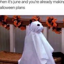 ⭐️🐈~Chloe~🐈⭐️ post 3