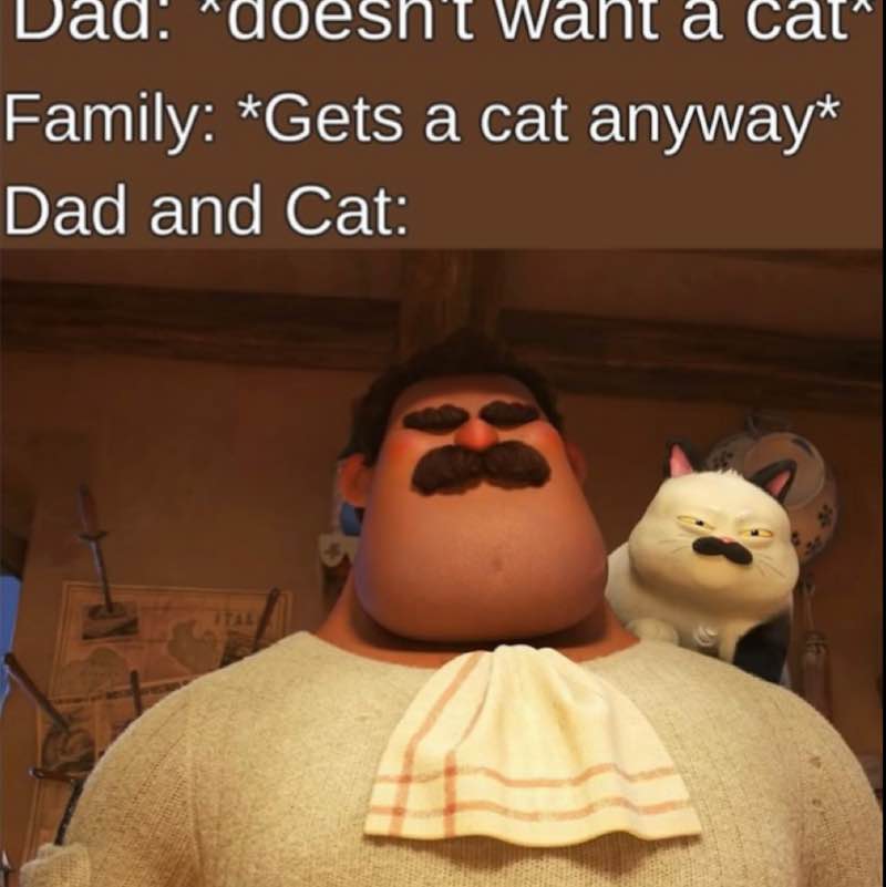 ⭐️🐈~Chloe~🐈⭐️ post 3