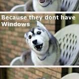 ⭐️🐈~Chloe~🐈⭐️ post 2