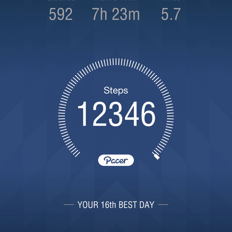 ⭐️🐈~Chloe~🐈⭐️ post 1