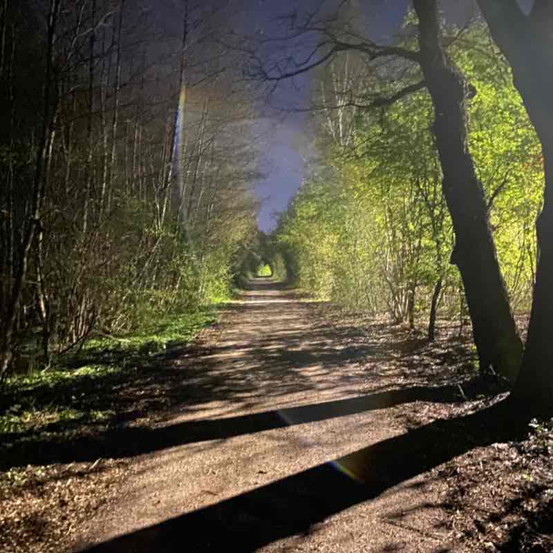 ✨Walk 👟 Run 👟 and Health ❤️✨ Ugur Martin post image