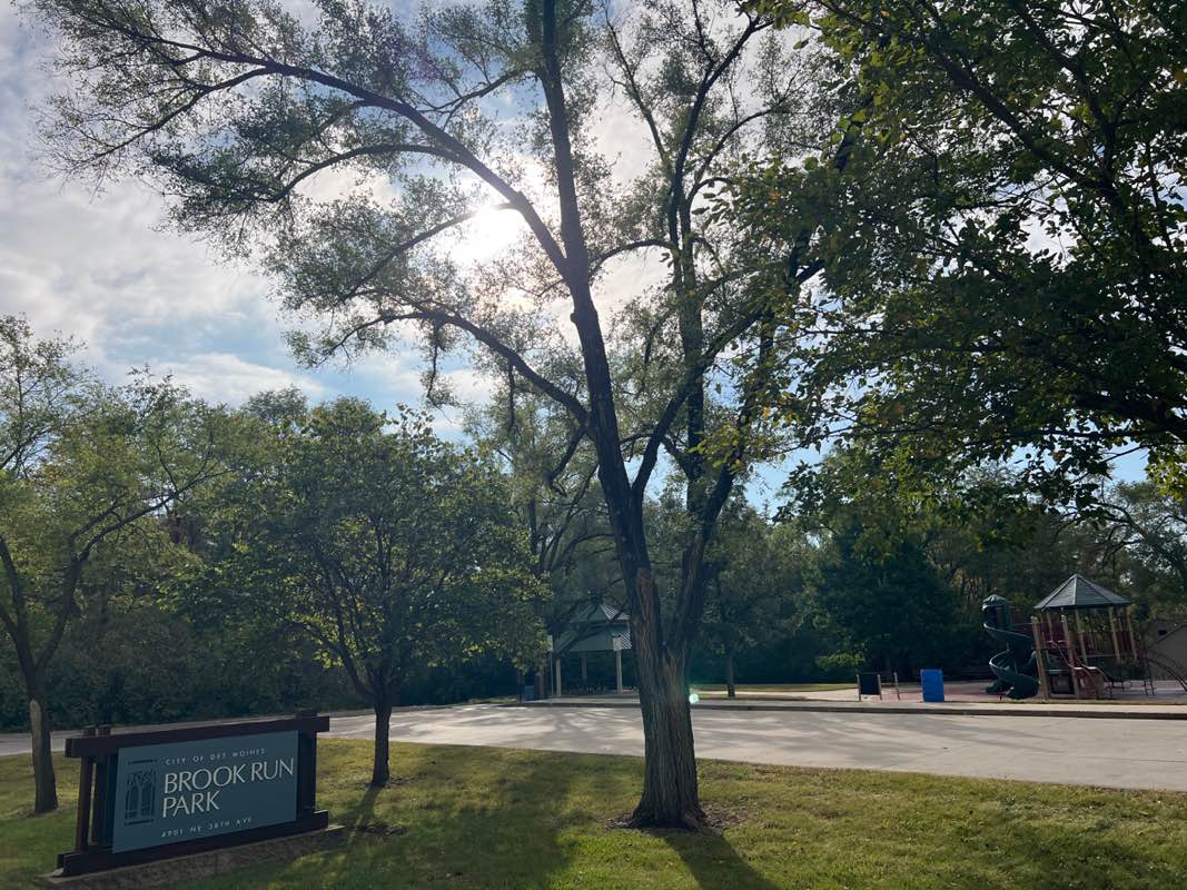 walking near me in Brook Run Park in autumn