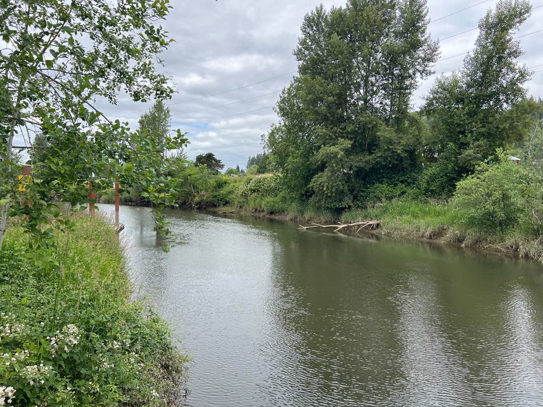 walking near me in Beaver Boat Ramp and Park in summer