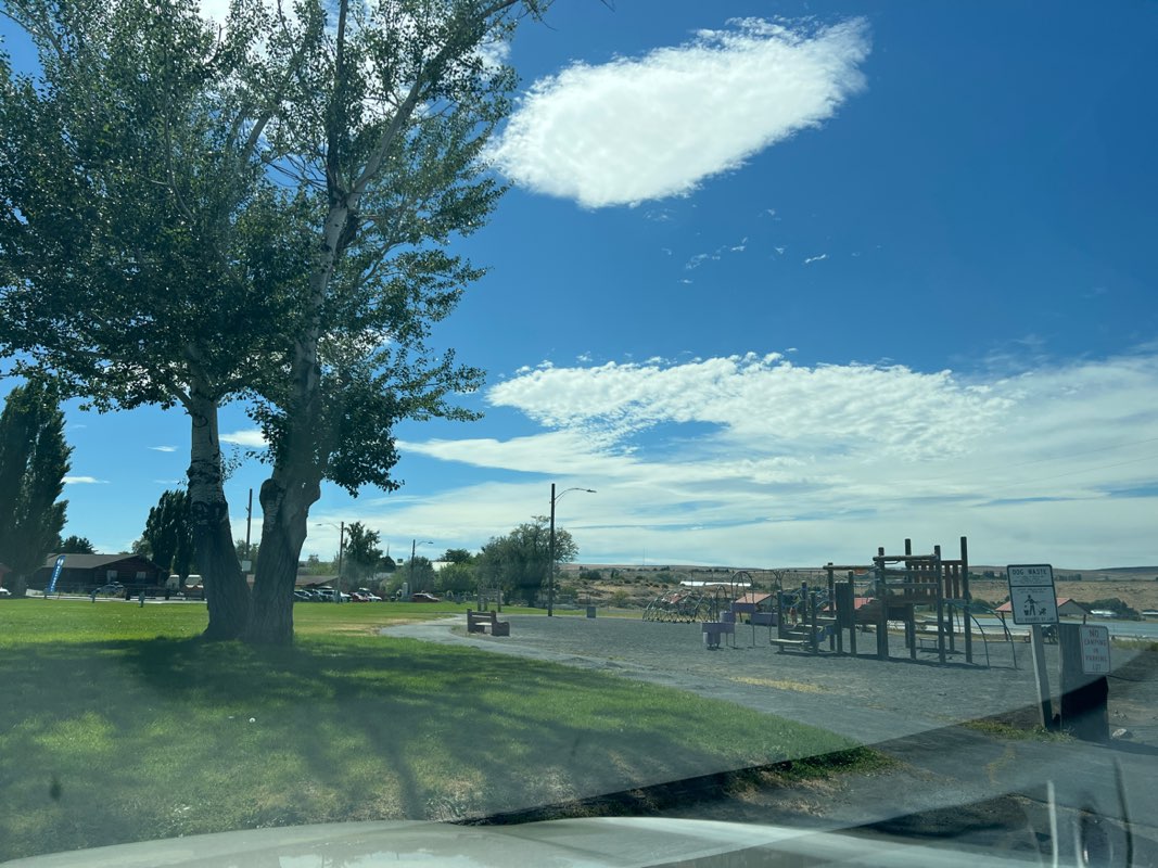 walking near me in East Beach Park in autumn