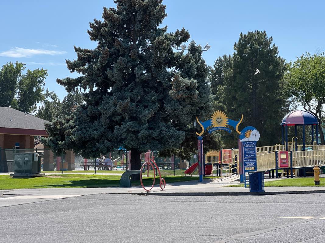 walking near me in Mccosh Park in autumn