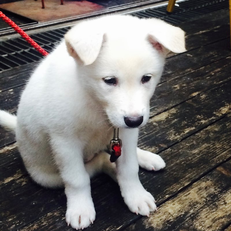 Site3/BA/이현주 icon