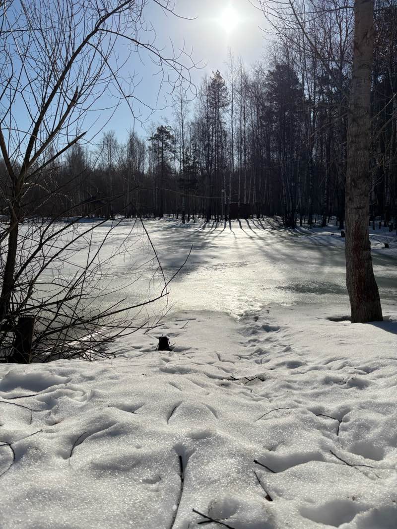 walking near me in Золотые пески in spring