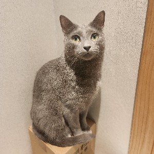 site3/Cathode3-2/이본영 icon