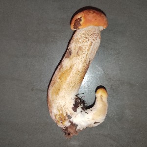 Алексей profile