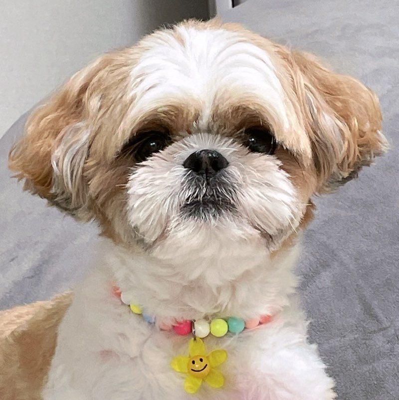 Site4/RTC/박아름 profile