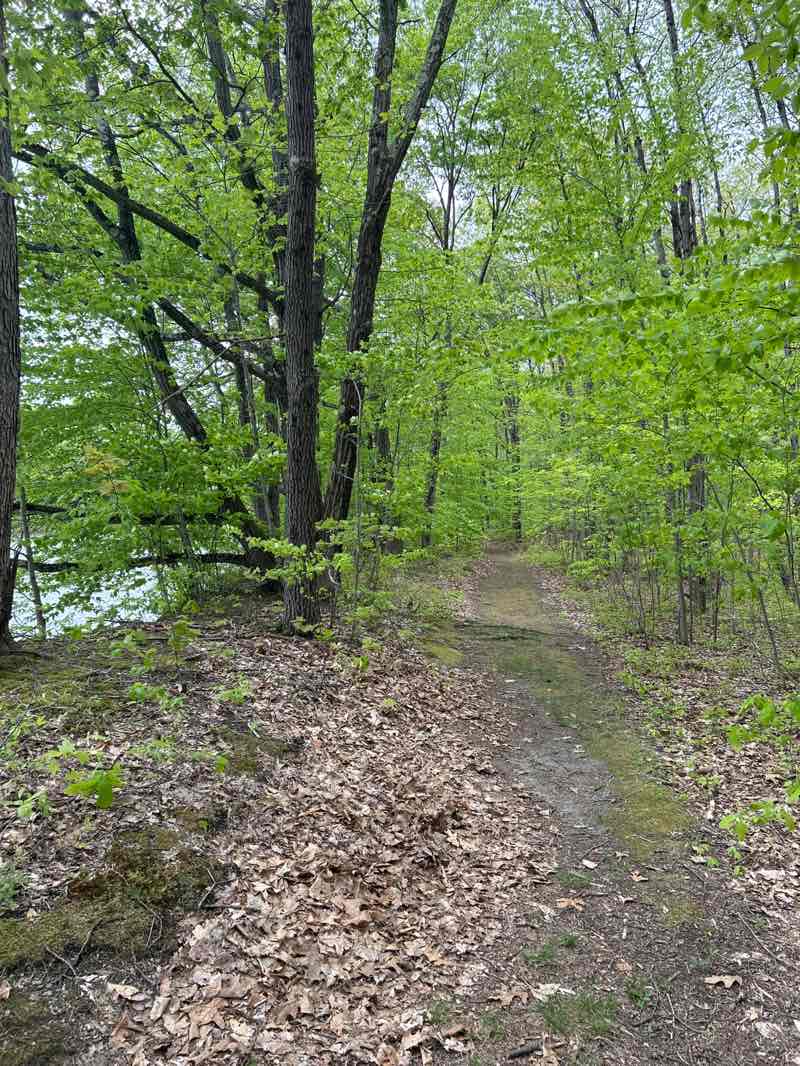 walking near me in Lock 4 State Canal Park in spring