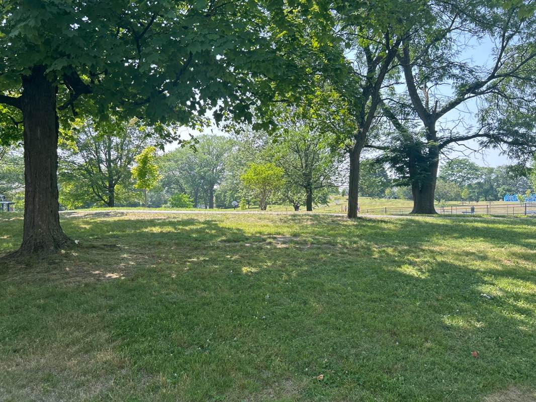 walking near me in Beman Park in summer