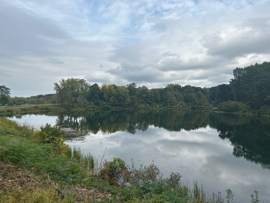 walking near me in Frear Park in autumn