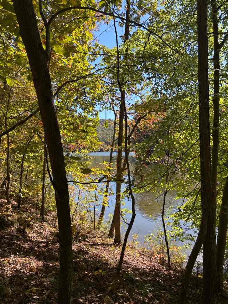 walking near me in Haig Mill Lake Park in autumn