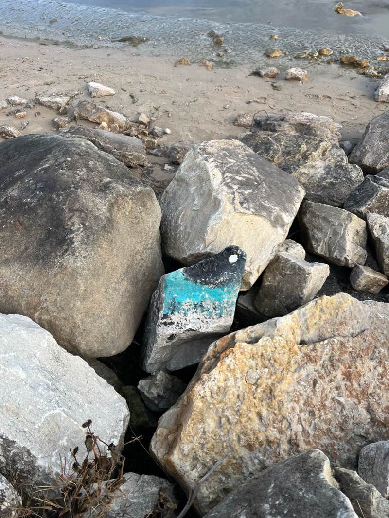 walking near me in Anclam Park in winter