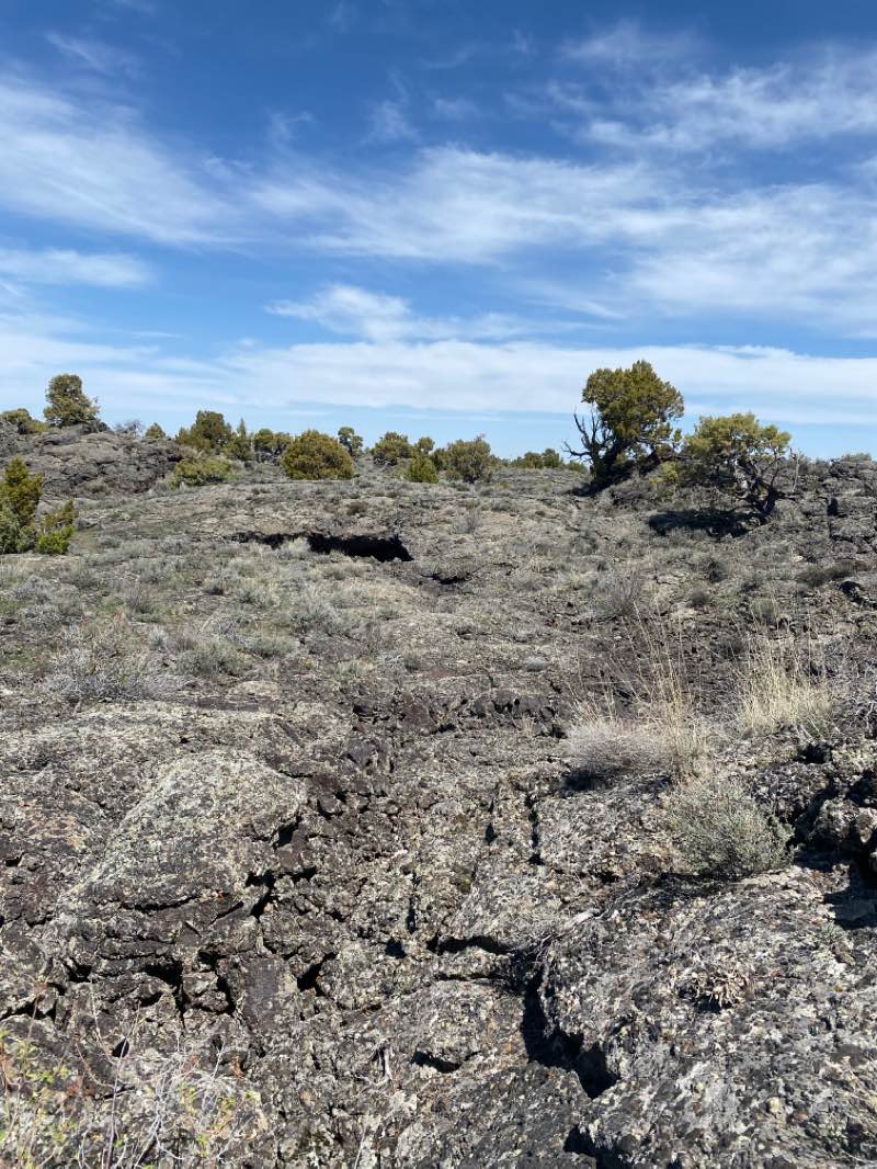 walking near me in Hells Half Acre Wilderness Study Area in winter
