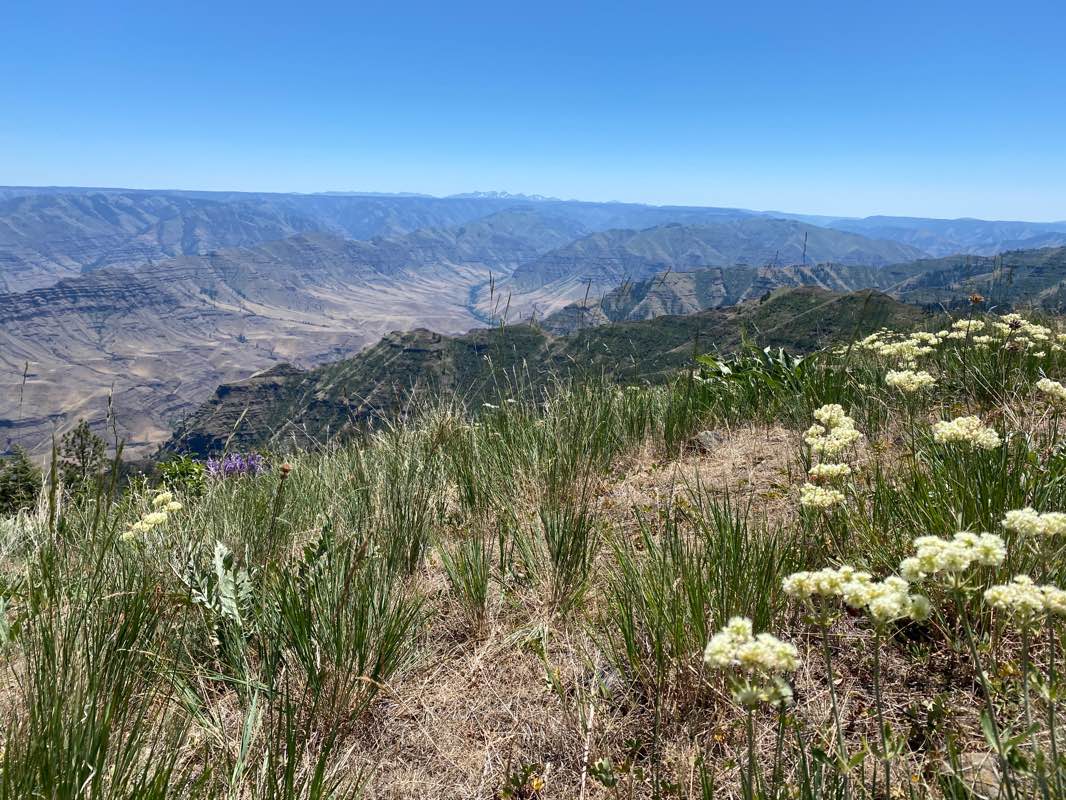 walking near me in Hells Canyon National Recreation Area in winter