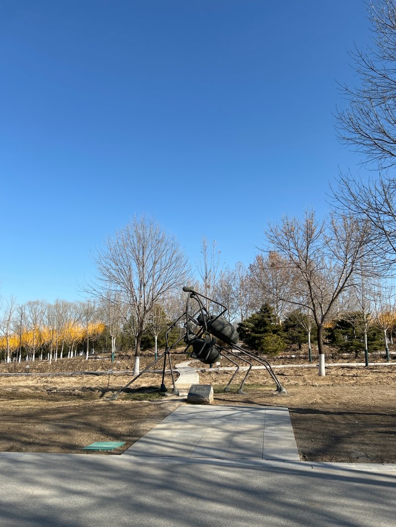 walking near me in CBD Historical and Cultural Park in winter