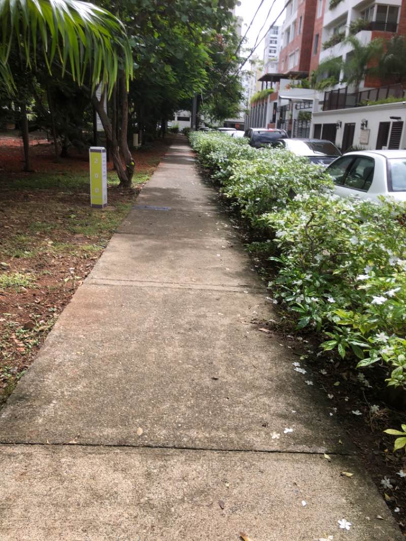 walking near me in Parque Bosque de la Vida in winter