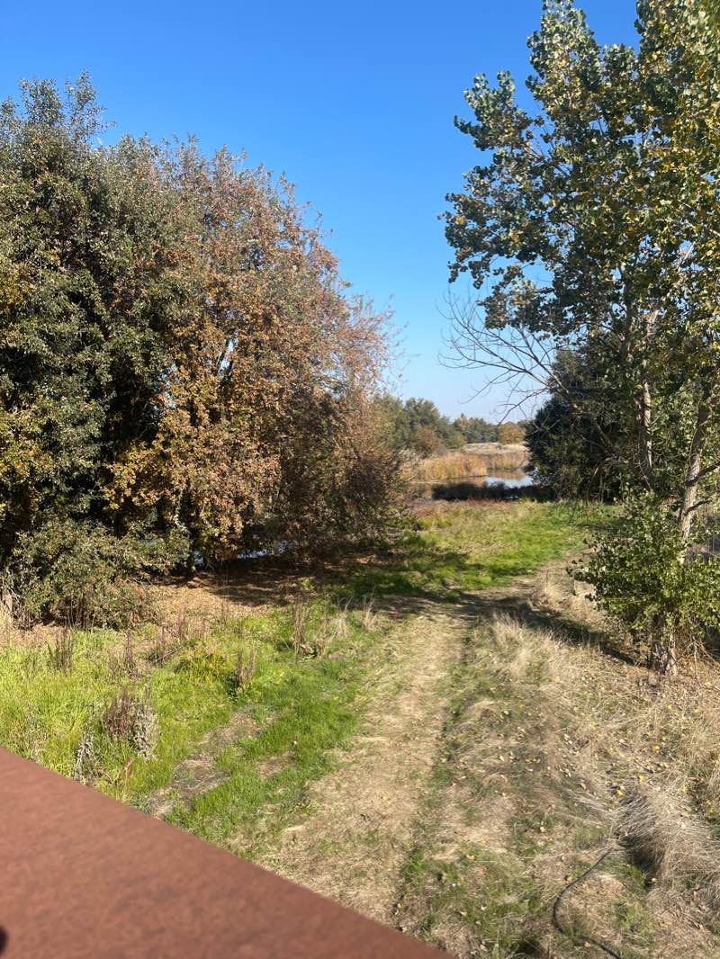 walking near me in Hill Park in winter