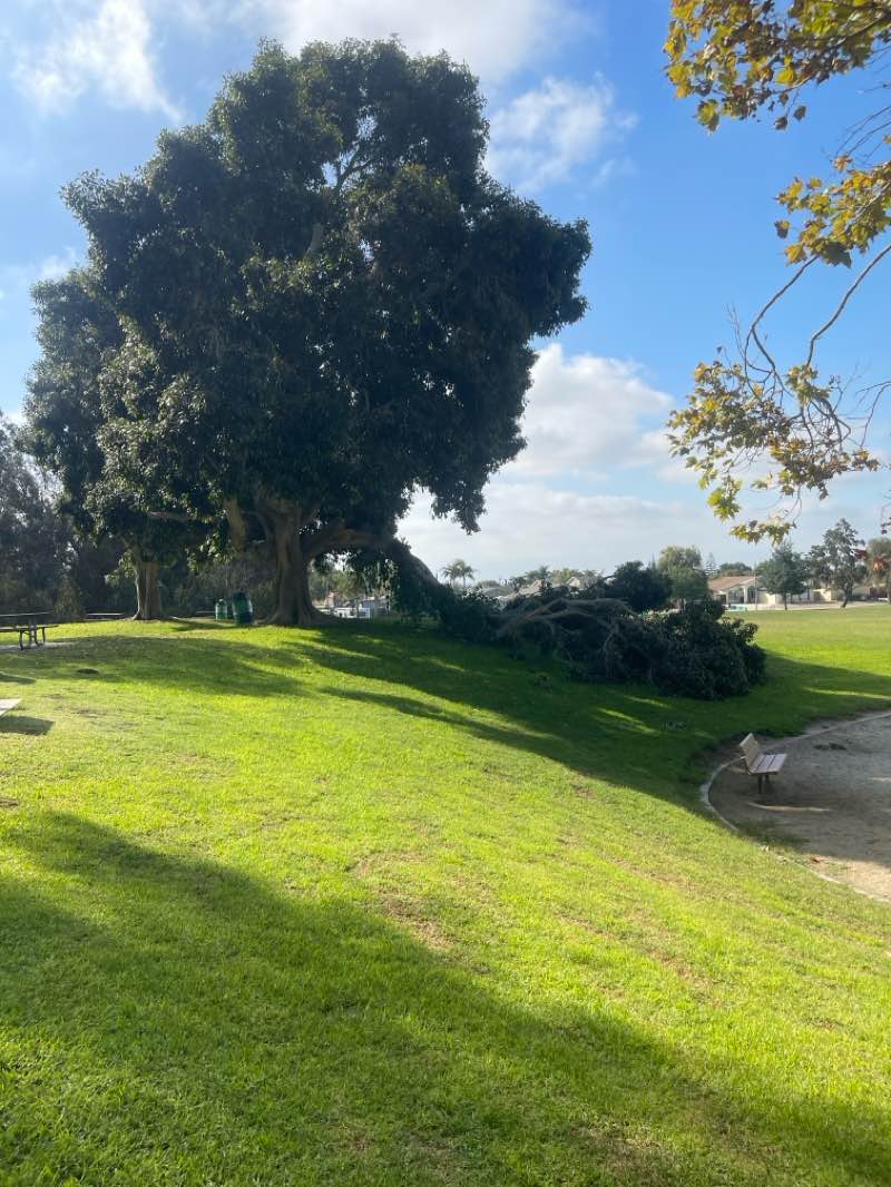 walking near me in Barranca Vista Park in autumn