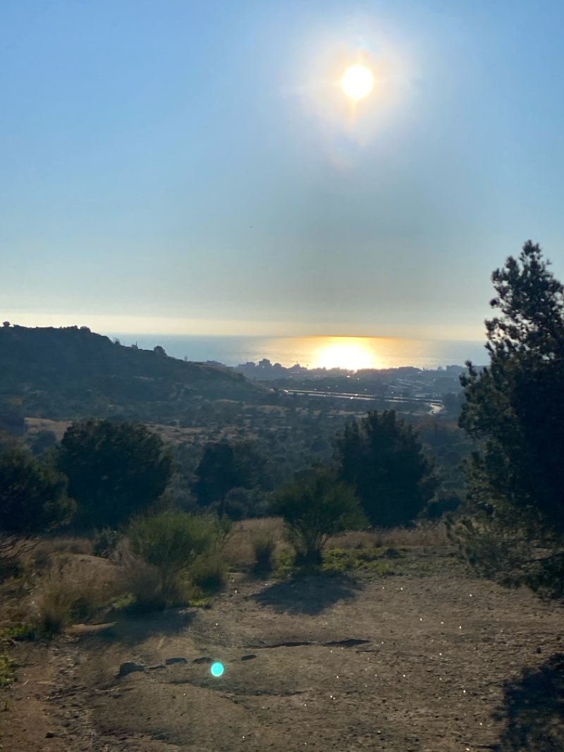 walking near me in Passeig de la Rambleta in winter