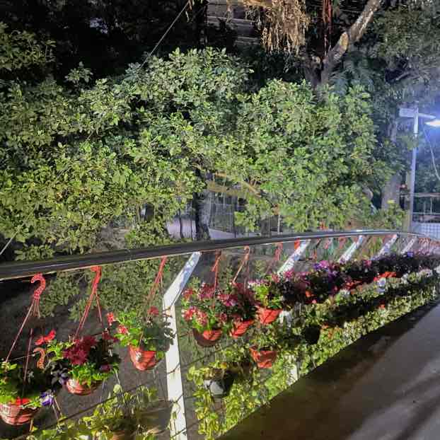 Fatema Tuz Johura post 1