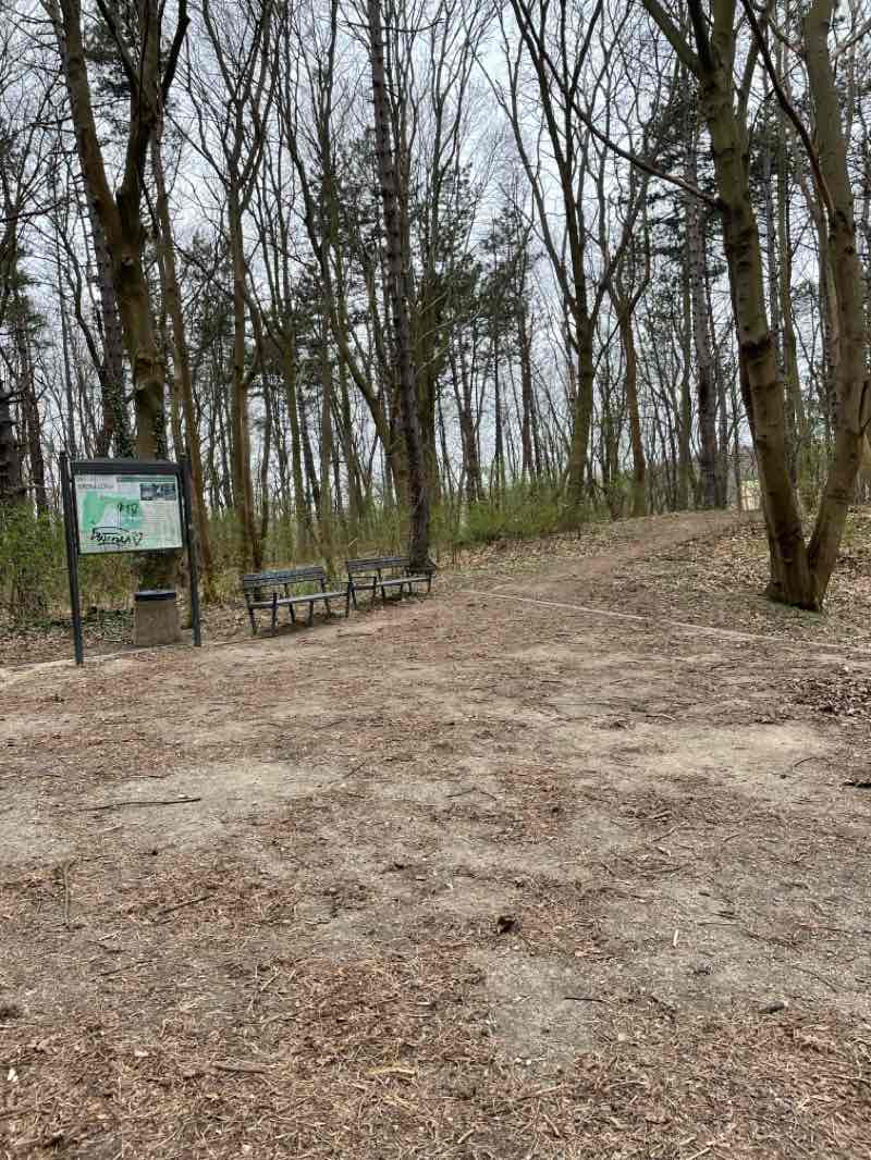 walking near me in Park na Wroniej Górce in spring