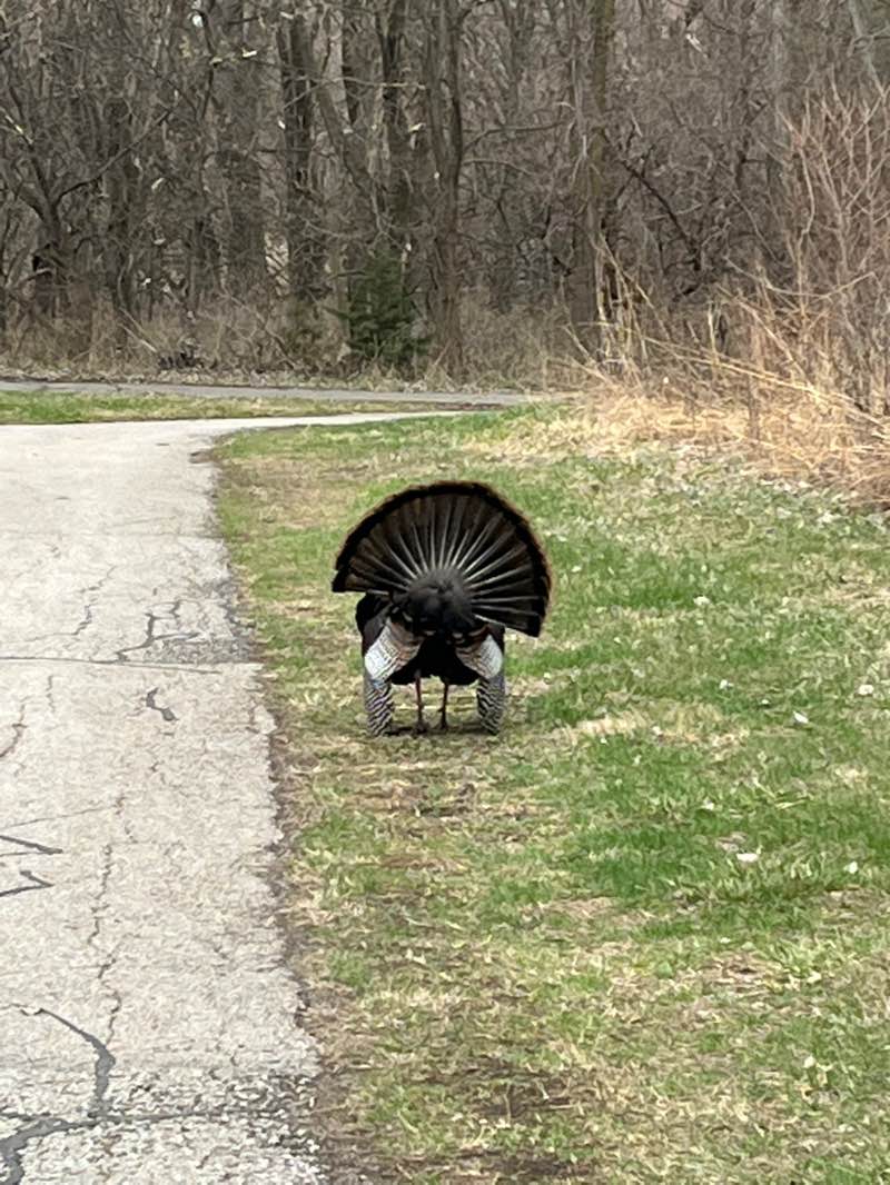 walking near me in Edward Zorinsky Recreation Area in spring