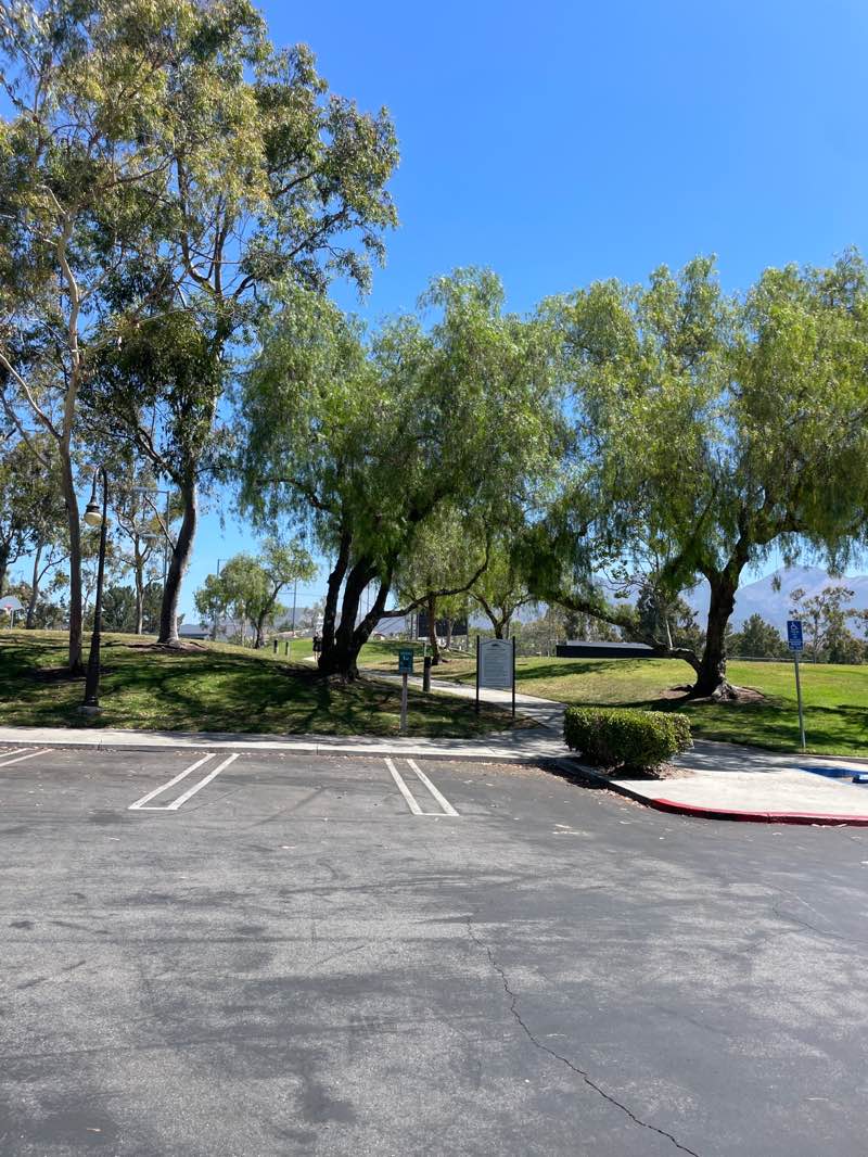 walking near me in Altisima Park in summer