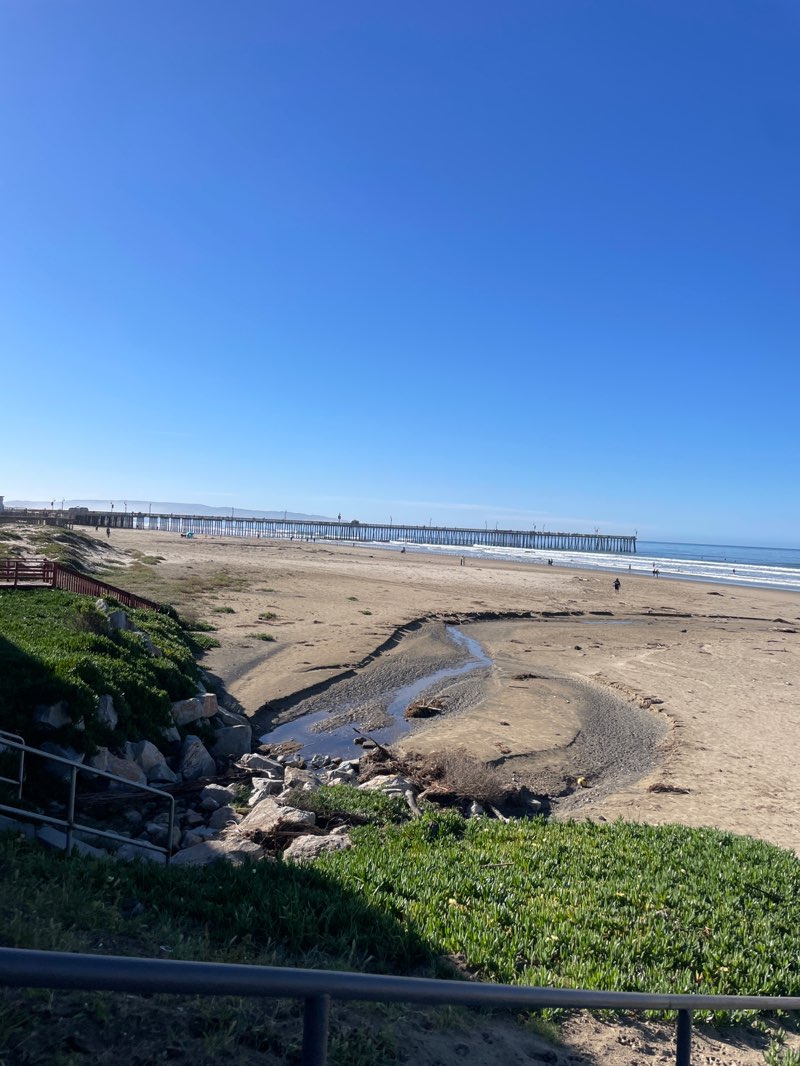 walking near me in Pismo State Beach in winter