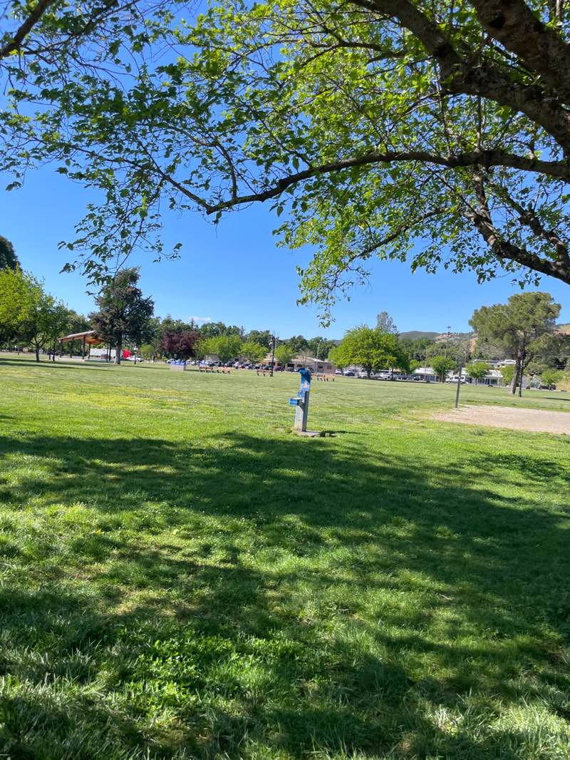 walking near me in Austin Park in spring
