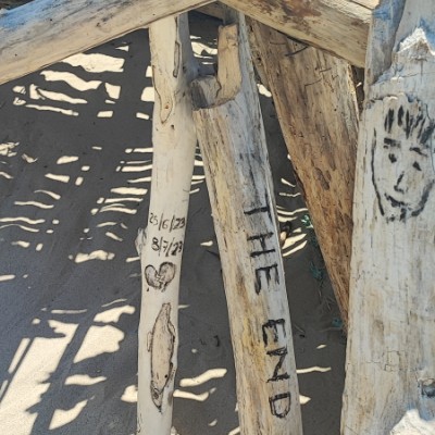 Francesca Calvani post 2