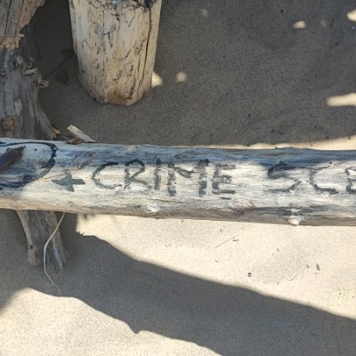 Francesca Calvani post 3