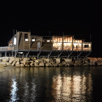 Francesca Calvani post 2